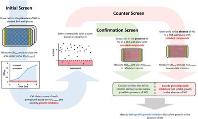 Synergy Screening Identifies a Compound That Selectively Enhances the Antibacterial Activity of Nitric Oxide